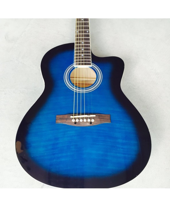 HOPPER 40 CUTAWAY ACOUSTIC COLOUR SERIES
